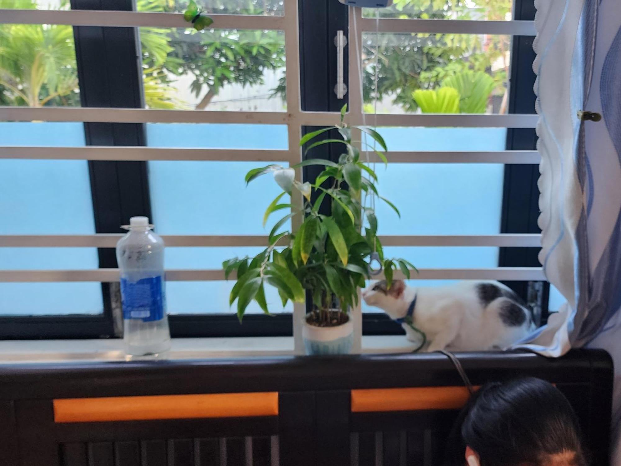 Sena Home 3#1-Near Danang Dragon Bridge-Han River Εξωτερικό φωτογραφία